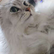 まこ まこです 奥鉄オクテツ神奈川店（デリヘル市場グループ）