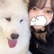 ヒメ日記 2026/02/12 19:06 投稿 えま 隙のあるエステ