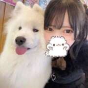 ヒメ日記 2026/02/20 17:26 投稿 えま 隙のあるエステ