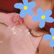 ヒメ日記 2025/11/26 17:39 投稿 かすみ SUZUME