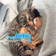 ヒメ日記 2025/11/15 21:01 投稿 金子　れん ギン妻パラダイス 谷九店