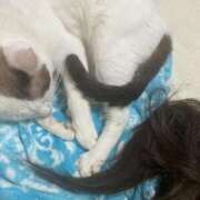 ヒメ日記 2025/11/25 11:53 投稿 金子　れん ギン妻パラダイス 谷九店