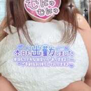 ヒメ日記 2025/11/29 14:30 投稿 金子　れん ギン妻パラダイス 谷九店