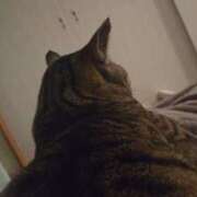 ヒメ日記 2025/12/04 17:15 投稿 金子　れん ギン妻パラダイス 谷九店