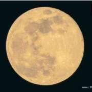 ヒメ日記 2025/12/05 19:02 投稿 金子　れん ギン妻パラダイス 谷九店