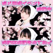 ヒメ日記 2026/04/19 08:01 投稿 ありす DCP