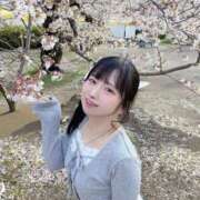 ヒメ日記 2026/04/11 08:02 投稿 ありす 京都デリヘル倶楽部