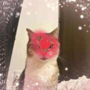 ヒメ日記 2025/11/12 16:55 投稿 たまき 熟女の風俗最終章 錦糸町店