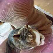 ヒメ日記 2025/12/09 14:47 投稿 たまき 熟女の風俗最終章 錦糸町店