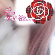 ヒメ日記 2026/01/06 17:57 投稿 くれあ 成田人妻花壇