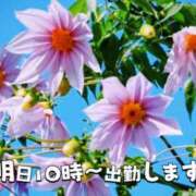 ヒメ日記 2025/11/14 08:15 投稿 たまき ギン妻パラダイス 堺東店