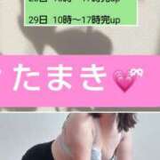 ヒメ日記 2025/11/19 00:45 投稿 たまき ギン妻パラダイス 堺東店