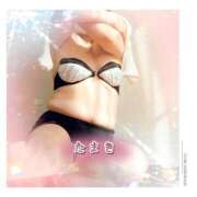 ヒメ日記 2025/11/20 05:55 投稿 たまき ギン妻パラダイス 堺東店