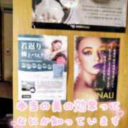 ヒメ日記 2025/11/25 16:55 投稿 たまき ギン妻パラダイス 堺東店