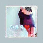 ヒメ日記 2025/11/26 07:11 投稿 たまき ギン妻パラダイス 堺東店