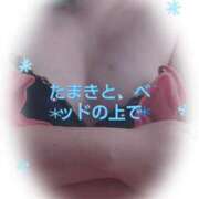 たまき 朝からもHな気分❓ ギン妻パラダイス 堺東店