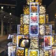 ヒメ日記 2025/12/14 09:30 投稿 たまき ギン妻パラダイス 堺東店