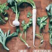 ヒメ日記 2026/01/07 18:28 投稿 たまき ギン妻パラダイス 堺東店