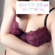 ヒメ日記 2025/11/22 14:09 投稿 田原いずみ セレブ Rex