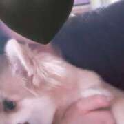 ヒメ日記 2025/11/26 13:33 投稿 ましろ クラブA