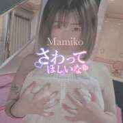 ヒメ日記 2025/12/12 11:18 投稿 堂　まみこ YOKOHAMA FIVESTAR（横浜ファイブスター）