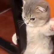 ヒメ日記 2025/11/14 13:44 投稿 くるみ お客様満足度NO.1デリヘル！ 秘密倶楽部 凛 千葉