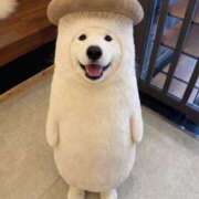 ヒメ日記 2026/02/06 13:33 投稿 くるみ お客様満足度NO.1デリヘル！ 秘密倶楽部 凛 千葉