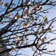 ヒメ日記 2026/02/23 15:40 投稿 くるみ お客様満足度NO.1デリヘル！ 秘密倶楽部 凛 千葉