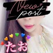 ヒメ日記 2025/11/27 23:46 投稿 睦月たお 日暮里ド淫乱倶楽部