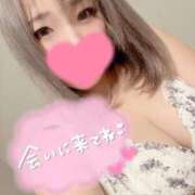 ヒメ日記 2025/11/14 08:15 投稿 あかり ぷるるんギャング