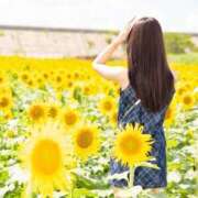 ヒメ日記 2025/11/20 16:38 投稿 ☆ゆりな☆ ◆プラウディア◆AAA級素人娘在籍店