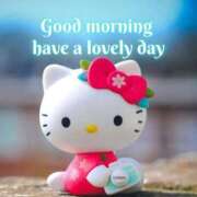 ヒメ日記 2025/11/20 11:53 投稿 まいこ 完熟ばなな神戸・三宮店