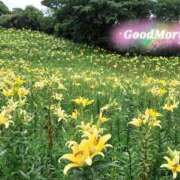 ヒメ日記 2026/02/10 09:06 投稿 かすみ 熟女の風俗アウトレット　大高・大府店