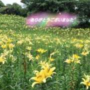 ヒメ日記 2026/02/16 00:46 投稿 かすみ 熟女の風俗アウトレット　大高・大府店