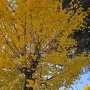 ヒメ日記 2025/11/28 09:35 投稿 みなみ 佐世保人妻デリヘル「デリ夫人」