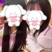 ヒメ日記 2025/12/12 01:15 投稿 あの みつばちマーヤZ