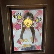 ヒメ日記 2026/02/03 01:34 投稿 あの みつばちマーヤZ