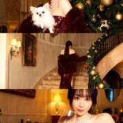 ヒメ日記 2025/12/09 02:52 投稿 ゆうり 贅沢なひと時