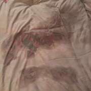 ヒメ日記 2026/02/26 20:30 投稿 Mikado 五反田M性感フェチ倶楽部 マスカレード