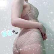 杉本まこ おやすみ前に🐾 月の真珠-五反田-