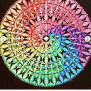 ヒメ日記 2025/11/19 17:59 投稿 まさき ギン妻パラダイス 堺東店