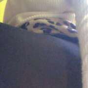 ヒメ日記 2025/12/03 14:45 投稿 まさき ギン妻パラダイス 堺東店