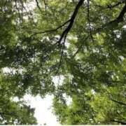 ヒメ日記 2025/12/22 17:31 投稿 まさき ギン妻パラダイス 堺東店