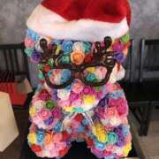 ヒメ日記 2025/12/25 15:08 投稿 まさき ギン妻パラダイス 堺東店