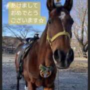 ヒメ日記 2026/01/01 11:36 投稿 まさき ギン妻パラダイス 堺東店