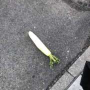 ヒメ日記 2026/02/14 16:46 投稿 まさき ギン妻パラダイス 堺東店