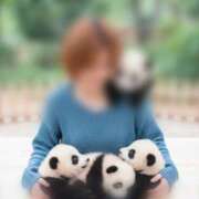 ヒメ日記 2026/04/01 19:01 投稿 まさき ギン妻パラダイス 堺東店