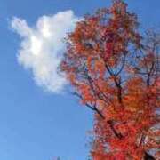 ヒメ日記 2025/11/30 23:17 投稿 須藤 いく Canx2京都店