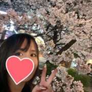 ヒメ日記 2026/03/31 11:27 投稿 須藤 いく Canx2京都店