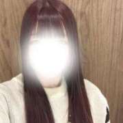 ヒメ日記 2025/11/13 07:15 投稿 ひなた アラカルト